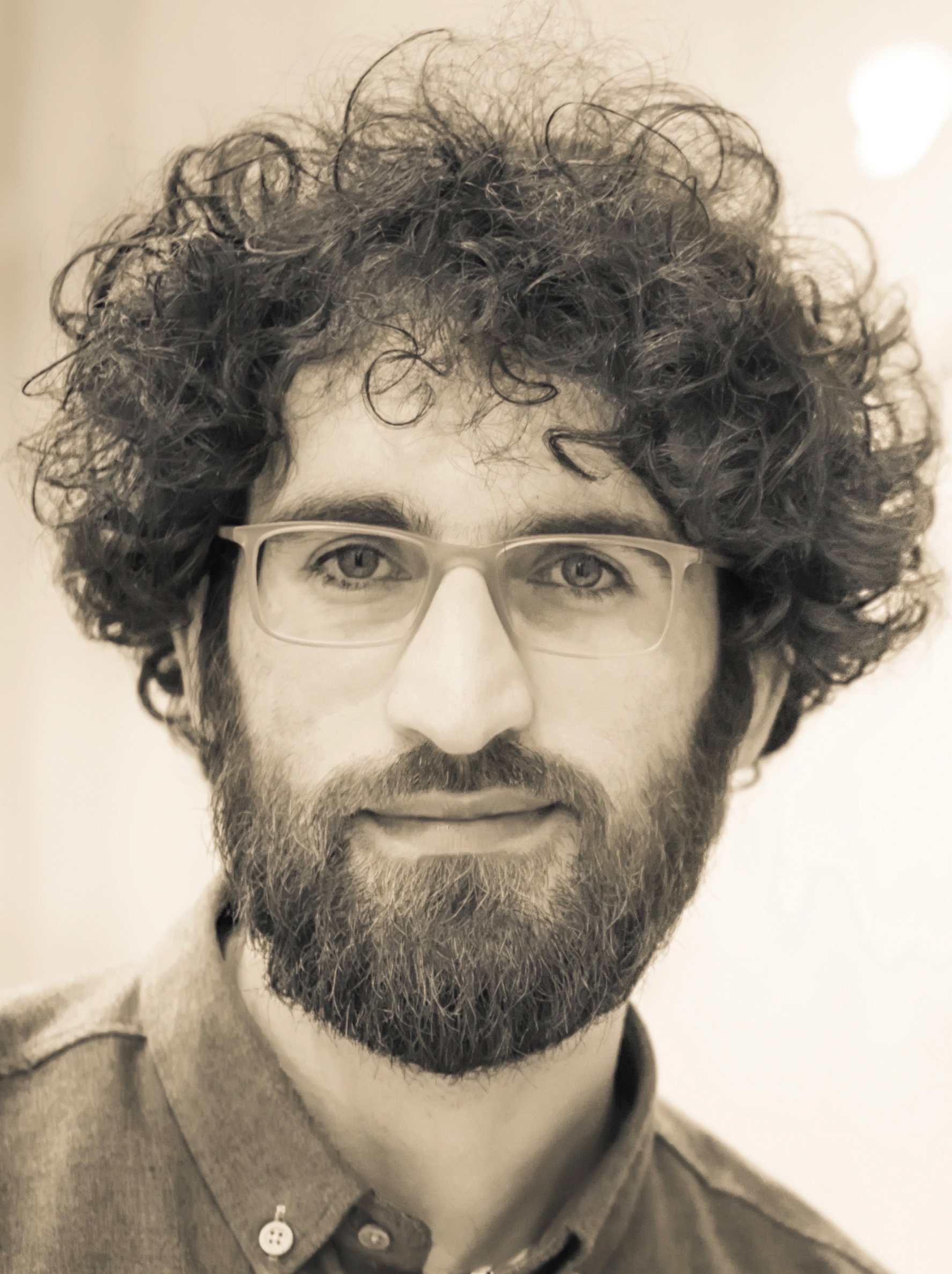 Portrait of Diako Mardanbegi